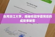 解码淡江学霸，揭秘台校精英的非凡成绩背后