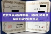 解码佐贺大学，一窥日本顶尖学府的学业成绩奥秘