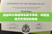 揭开阿比蒂彼特米斯卡学校的神秘面纱，探寻非凡文凭的秘密源泉