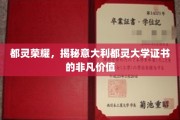 探索都灵大学证书，意大利教育荣耀的全球通行证