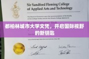 都柏林城市大学文凭，开启国际视野的新钥匙