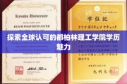 探索全球认可的都柏林理工学院学历魅力