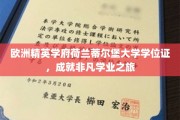 跨国精英之路，荷兰蒂尔堡大学学位证，见证非凡学术成就