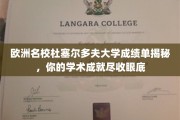解锁杜塞大成就，一窥欧洲顶尖学府的学术荣耀全景