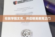 伦敦学院文凭，引领未来精英教育新风尚