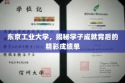 解码东京工业大学，学子辉煌成就背后的璀璨成绩单
