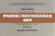 伊利诺斯理工学院文凭，揭秘其背后的强大价值与职业影响力