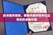 鹿特丹商学院，欧洲商界璀璨明珠，学位证见证非凡价值