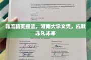 湖南大学韩流精英培育地，开启非凡成就新篇章
