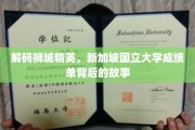 解码狮城学府精英，揭秘国大卓越成就背后的传奇历程