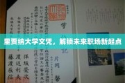 里贾纳大学文凭，引领您开启职场新篇章