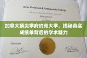 探索约克大学，揭开学术精英背后的辉煌成绩单