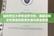 解码纽约州立大学布法罗分校，文凭背后的教育真谛与职场未来
