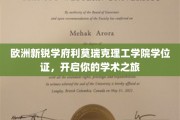 探索欧洲学术新地标，利莫瑞克理工学院学位，成就非凡学术人生