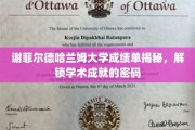解码谢菲尔德哈兰姆大学成绩单，探索学术成就的钥匙