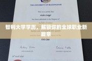 智利学历助力，开启全球职场无限可能
