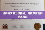 纽约宾汉顿分校，探寻成绩单背后的璀璨学术星河