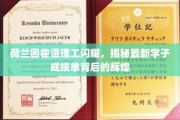 荷智之光，因霍温理工学子成绩单背后的璀璨成就