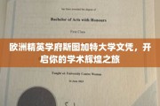 斯图加特大学精英学位，成就你的学术璀璨人生