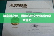 神奈川名校风云，探寻文凭背后的深厚学术底蕴