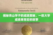 解码青春学府的卓越成绩，揭秘学子背后的奋斗篇章