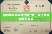 解码纽约州立大学宾汉顿分校，荣耀学位背后的传奇历程