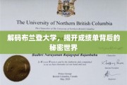 探寻布兰登大学成绩单背后的神秘学园