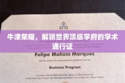 解码牛津精英，探寻全球顶尖学府的学术钥匙