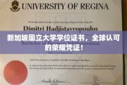国际通行证，新加坡国立大学学位，成就全球精英梦想的荣耀证书