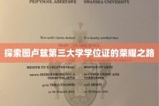 图卢兹第三大学学位证，揭开荣耀背后的奋斗篇章