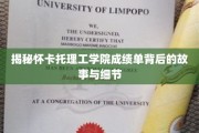探寻怀卡托理工学院成绩单背后的奥秘与真相