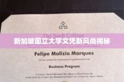 新加坡国立大学文凭新风尚揭秘