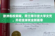 荷兰蒂尔堡大学荣耀绽放，国际职场新起点，文凭助力梦想腾飞
