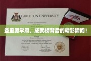 学府之光，圣里奥学府成就榜背后的璀璨瞬间揭晓！