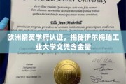 欧洲顶级认证加持，伊尔梅瑙工业大学文凭价值何在？