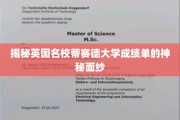 解码蒂赛德大学成绩单背后的神秘世界